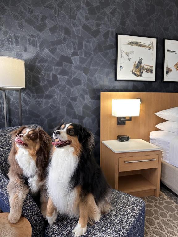 Delta Hotels by Marriott Calgary Downtown - Resim 19