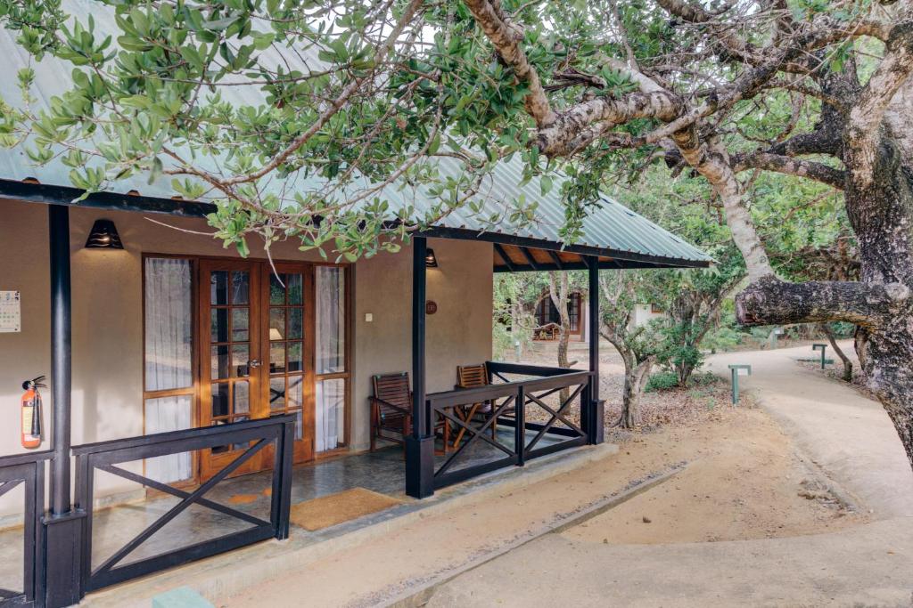 Cinnamon Wild Yala - 14