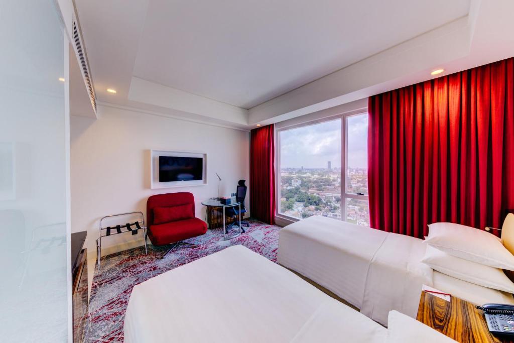 Cinnamon Red Colombo - 8