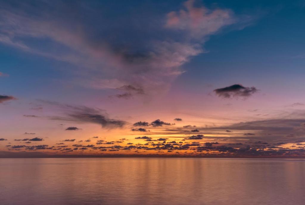 Cinnamon Velifushi Maldives - Complimentary Seaplane or Speedboat Return for 2 pax on 7 nights or more stays valid to 31 Oct 2026 & up to 2 kids stay free photo