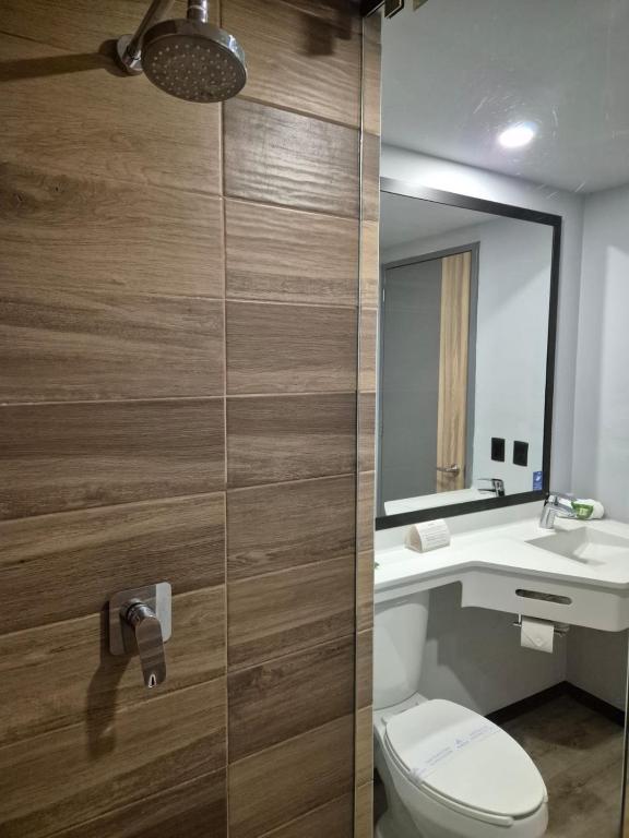 Koupelna v ubytování Avanta Hotel & Villas Querétaro