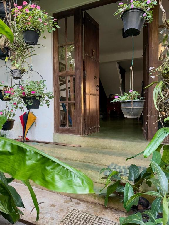 Zahrada ubytování Pekoetrails Hantana Homestay