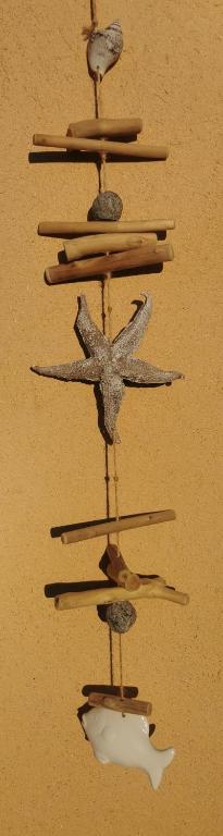 un groupe d'objets sur un mur dans l'établissement Coquillages et Crustacés, à Saint-Aygulf