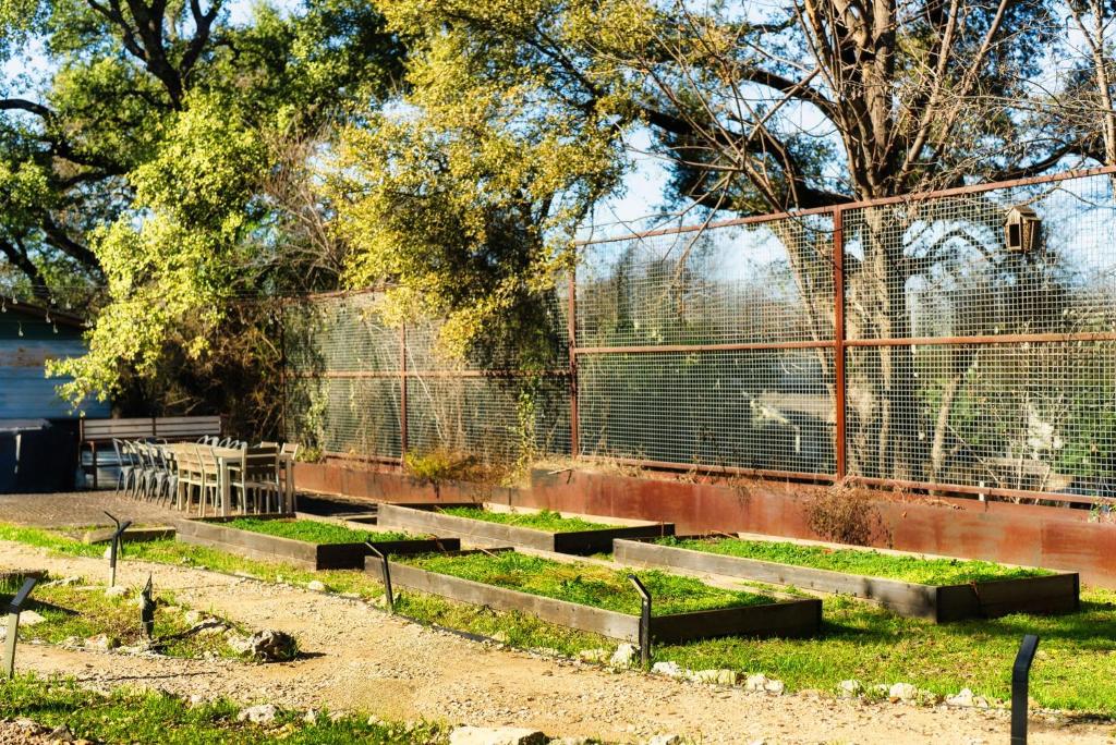 a garden with concrete steps and a fence at Cozy Tiny Home on an Eco Farm in Austin
