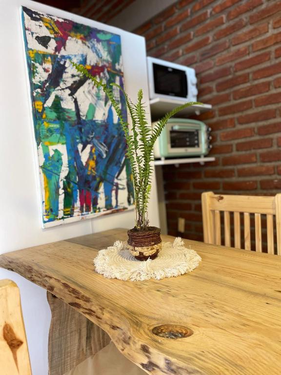 a plant sitting on top of a wooden table at La comarca 1 in Villa Gesell