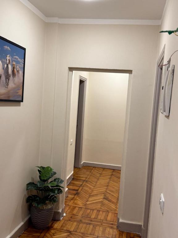 Fotografie z fotogalerie ubytování Sky light hotel v Káhiře
