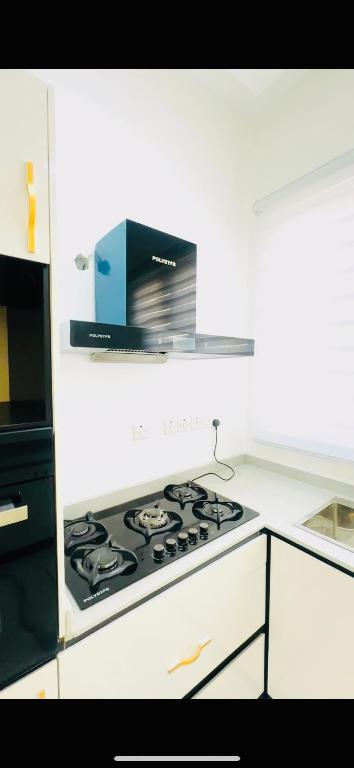 Kuchyň nebo kuchyňský kout v ubytování Joy luxury Apartments