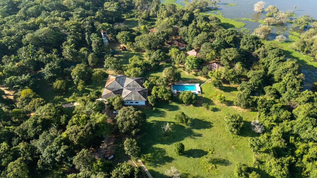 an aerial view of a house in the middle of a forest at Pothana Village in Sigiriya