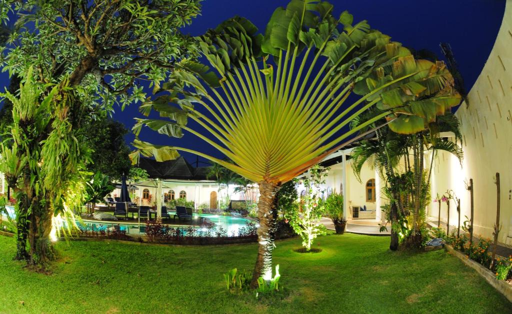 a palm tree in the yard of a house at Villa Costa Sanur in Sanur