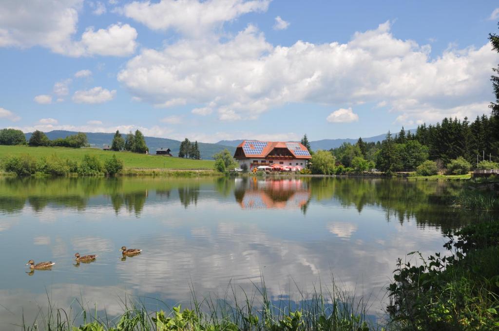 Příroda nedaleko apartmánu
