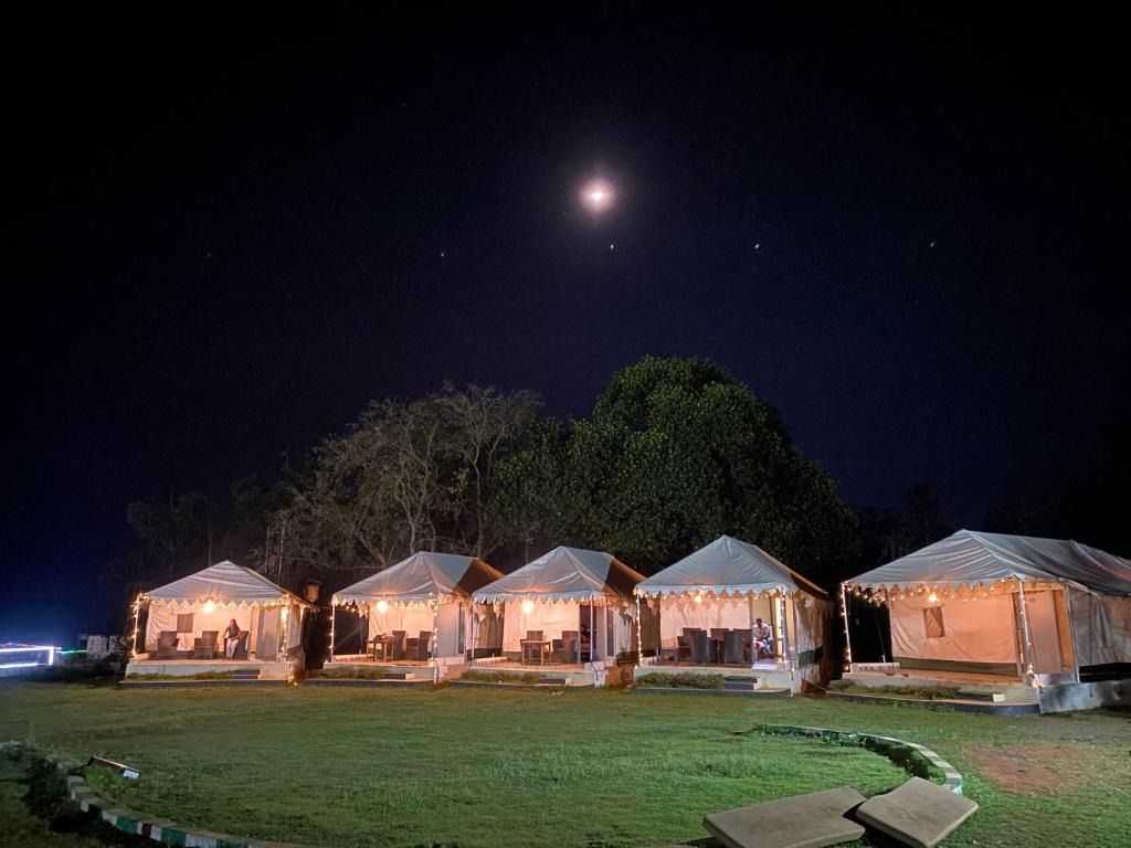 a row of tents in a field at night at Natures Nest Araku Resort in Araku