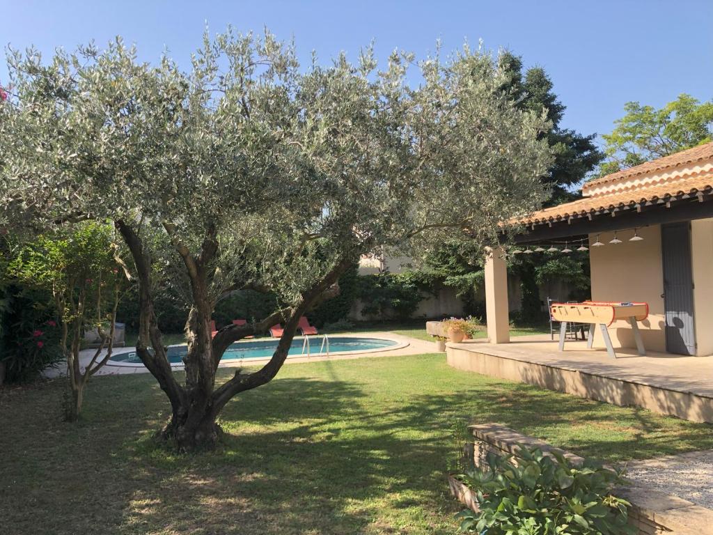 Photo de la galerie de l'établissement Siflora, à Noves