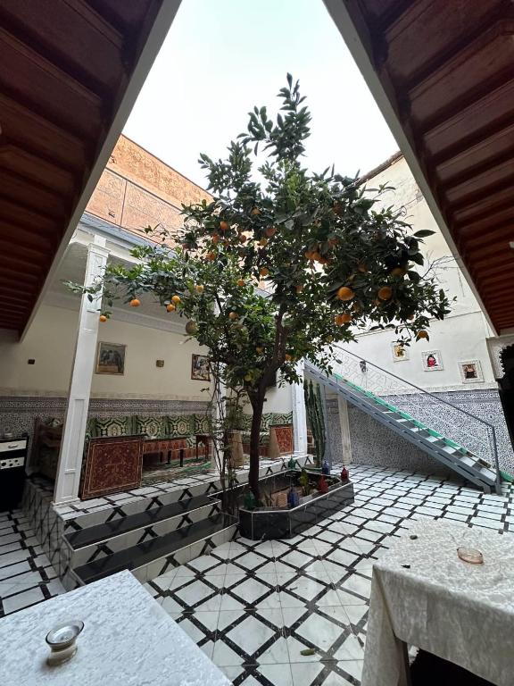 Fotografie z fotogalerie ubytování Riad amirwa 2 v Marrákéši