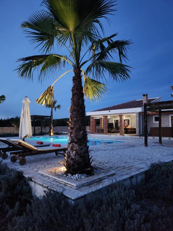a palm tree sitting next to a swimming pool at Villa Melody Novalja in Novalja