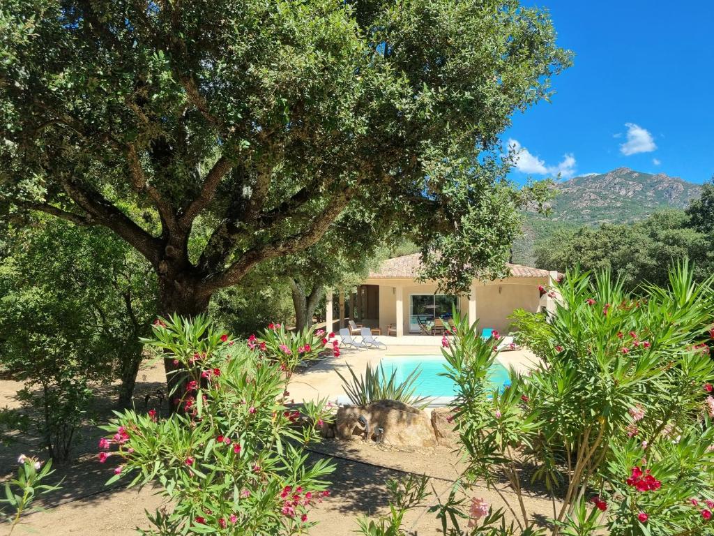 une maison avec un arbre et une piscine dans l'établissement Villa Stellalilou, à Porto-Vecchio