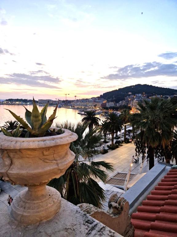 Una grande pianta in un vaso sul lato di una strada di Riva Luxury Suites a Spalato (Split)