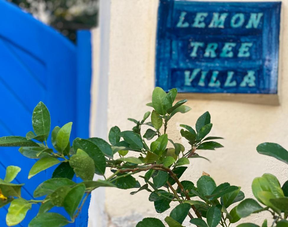 Certifikát, hodnocení, plakát nebo jiný dokument vystavený v ubytování Lemon tree villa