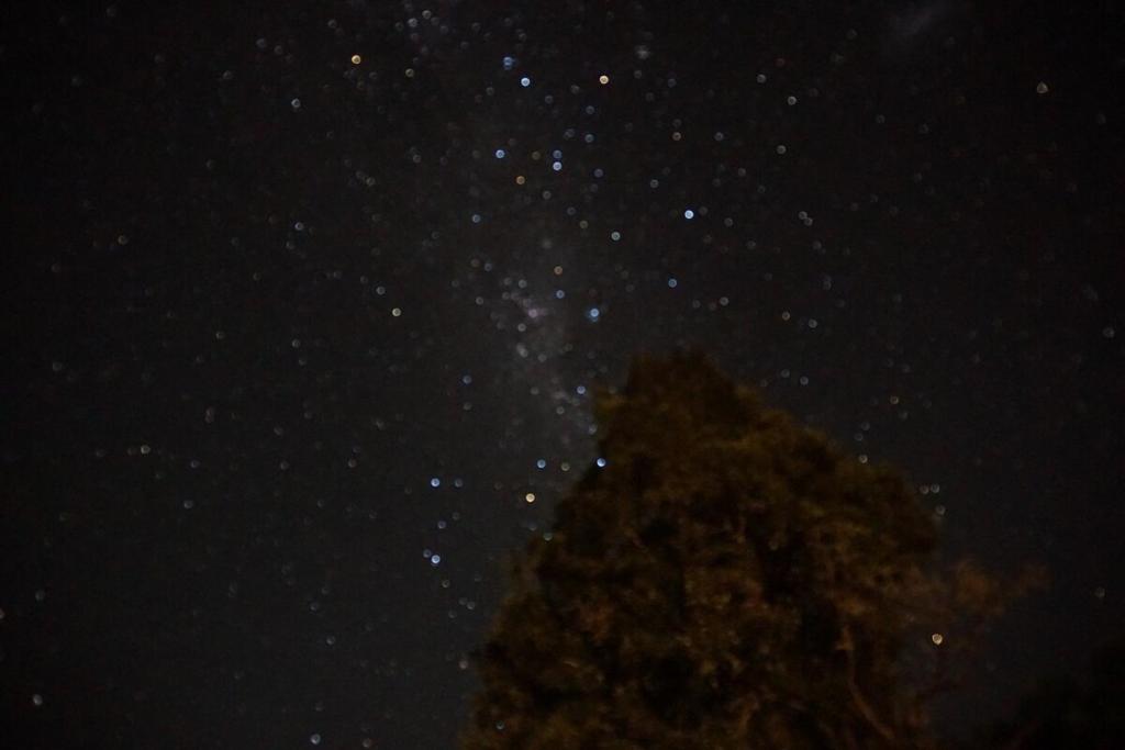 a starry night with a tree in the foreground at Casa entré Fundos in Lago Ranco