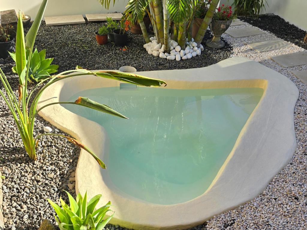 Gallery image of Onaturel & SPA C in Cilaos