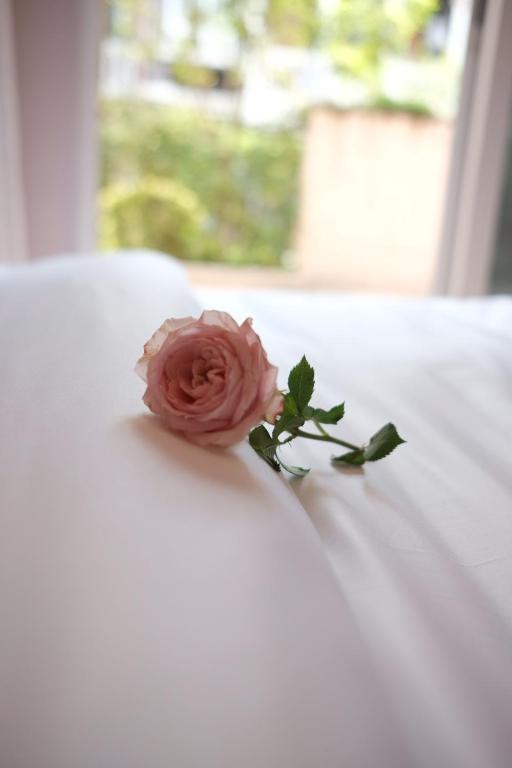 a pink rose sitting on top of a white table at 福来小院民宿 in Jiezi Ancient Town