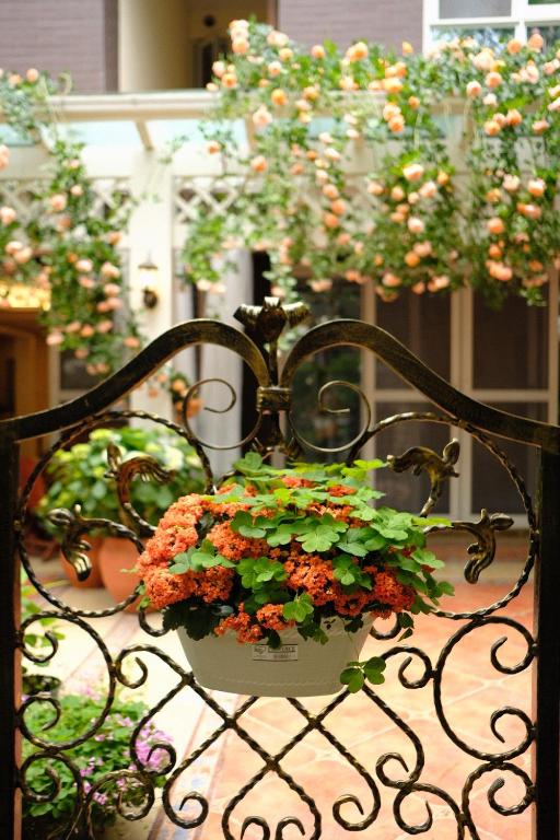 two potted plants are sitting on a balcony at 福来小院民宿 in Jiezi Ancient Town