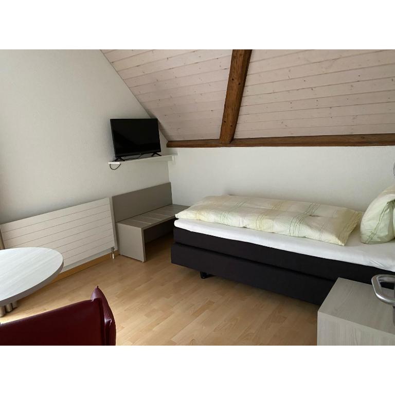 TV a/nebo společenská místnost v ubytování Hotel Gasthaus Hirschen