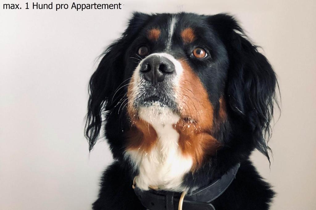 Appartementhaus Meeresburg - 7