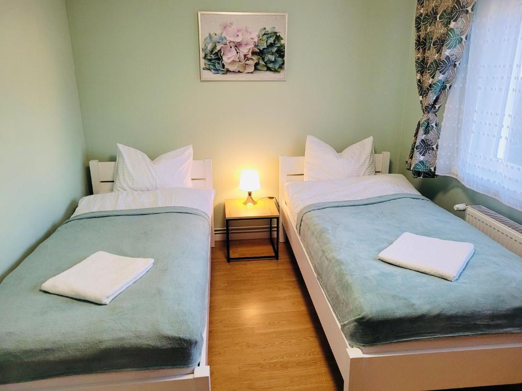 two twin beds in a room with a lamp at Apartament Zielona in Mysłakowice