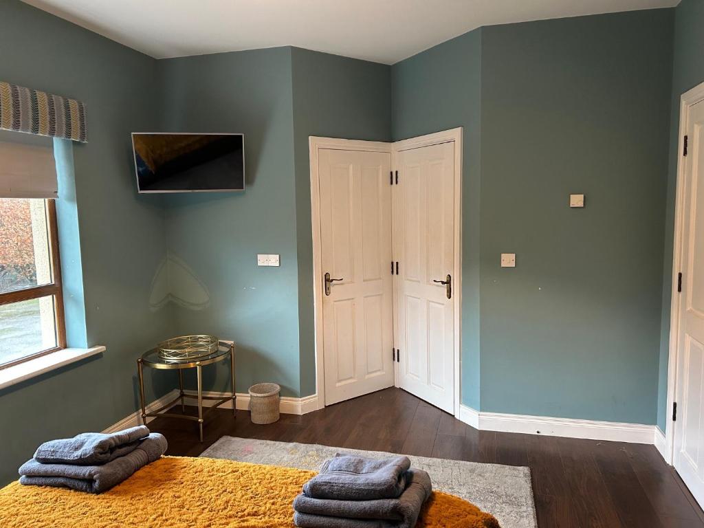 TV a/nebo společenská místnost v ubytování Castletown Carlow