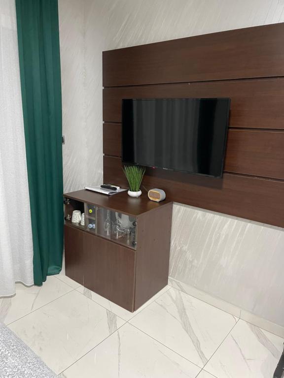TV a/nebo společenská místnost v ubytování Pink Apartmani