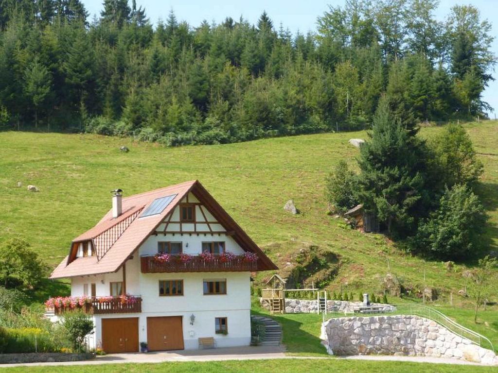 ein Haus auf einem Hügel mit einem grünen Feld in der Unterkunft Ferienhof Benz in Kappelrodeck