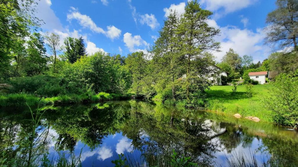 une rivière avec des arbres et une maison en arrière-plan dans l'établissement Gite, à La Rosière