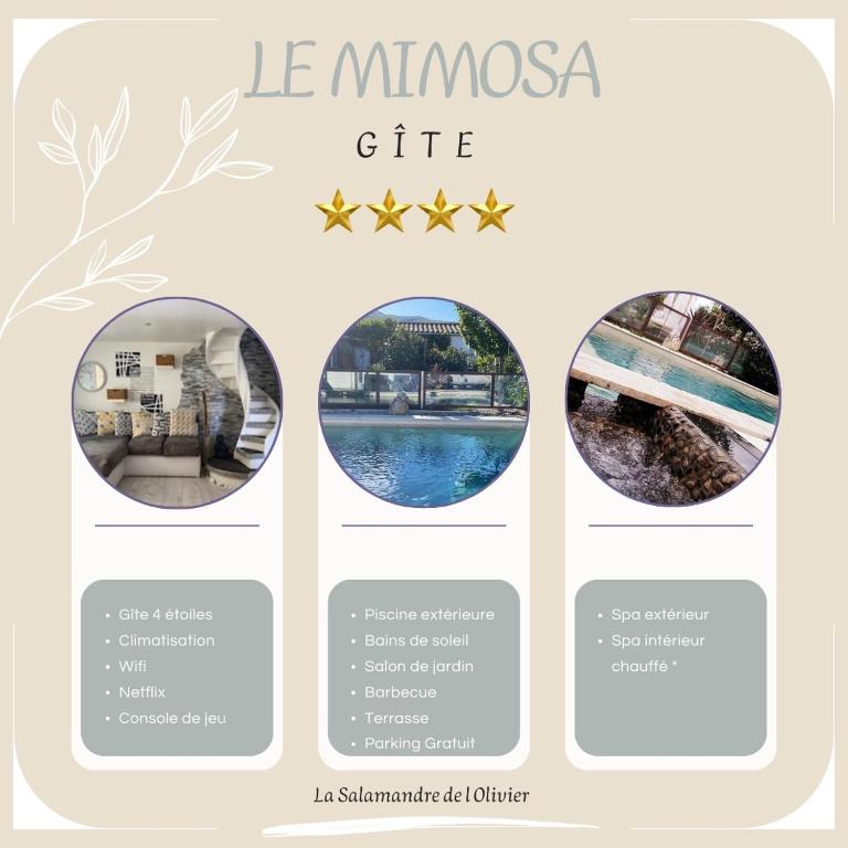 a screenshot of the le mimosa cafe website at La Salamandre de l Olivier - le Mimosa in Aubignosc