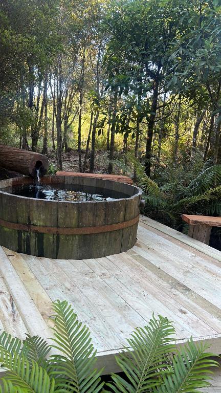 Zahrada ubytování Cabañas Los Cantos del Chucao