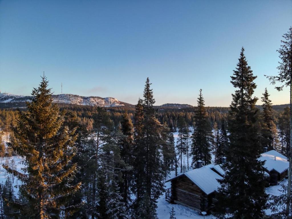 Naturlandskabet i nærheden af lejligheden