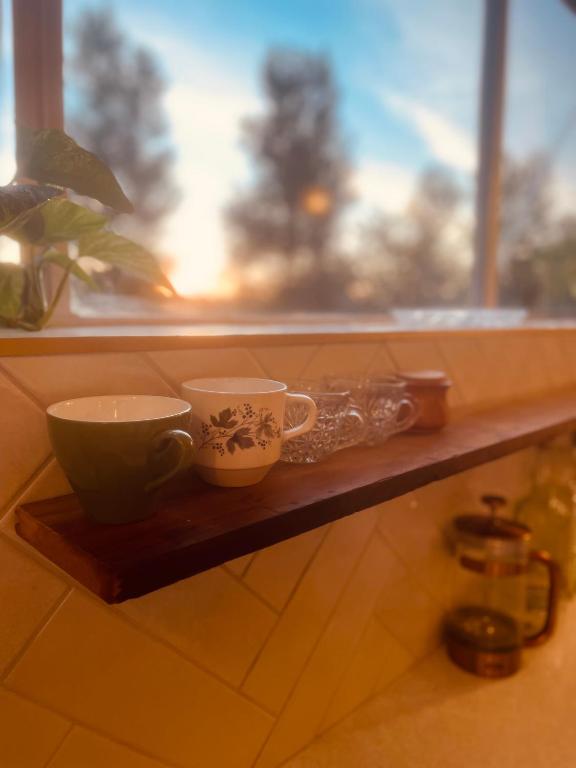 The Botanist - Resim 10