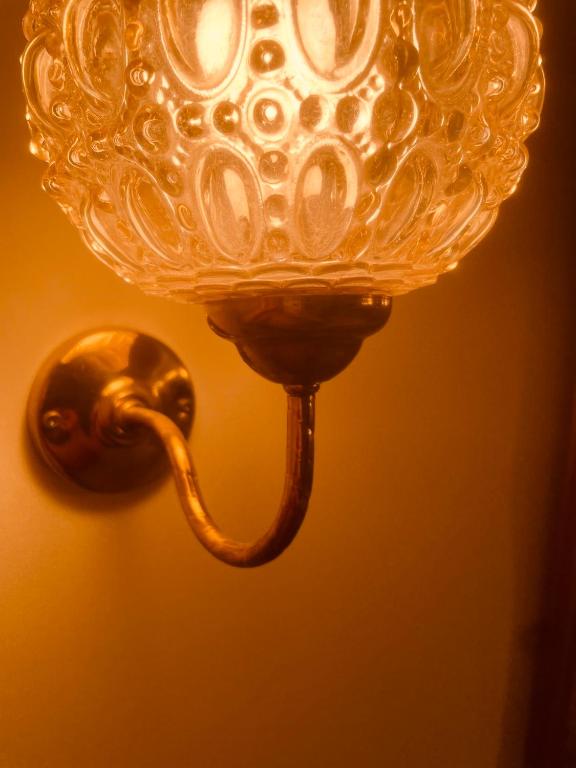 The Botanist - Resim 15