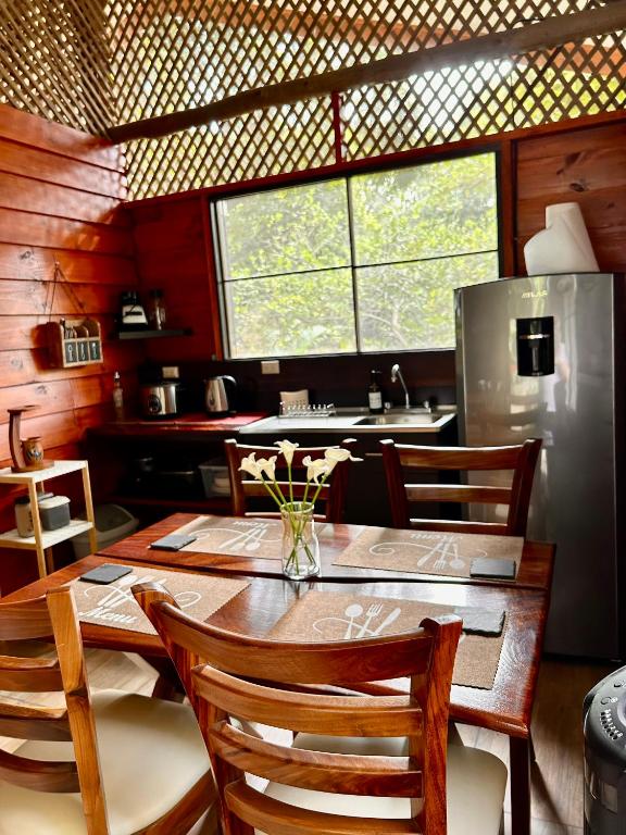 Kuchyň nebo kuchyňský kout v ubytování Casa LORA Eco tourism or remote work