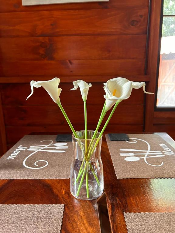 Fotografie z fotogalerie ubytování Casa LORA Eco tourism or remote work v destinaci Bagaces