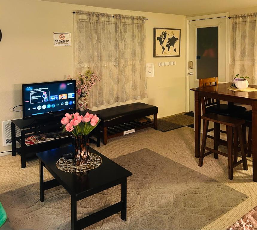 TV a/nebo společenská místnost v ubytování Emerald City Studio Suite