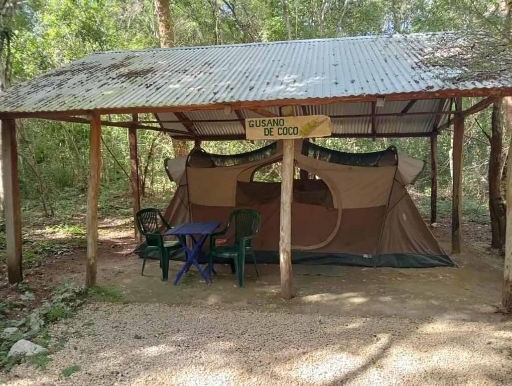 Fotografie z fotogalerie ubytování Campamento Yaax Che en Calakmul v destinaci Conhuas