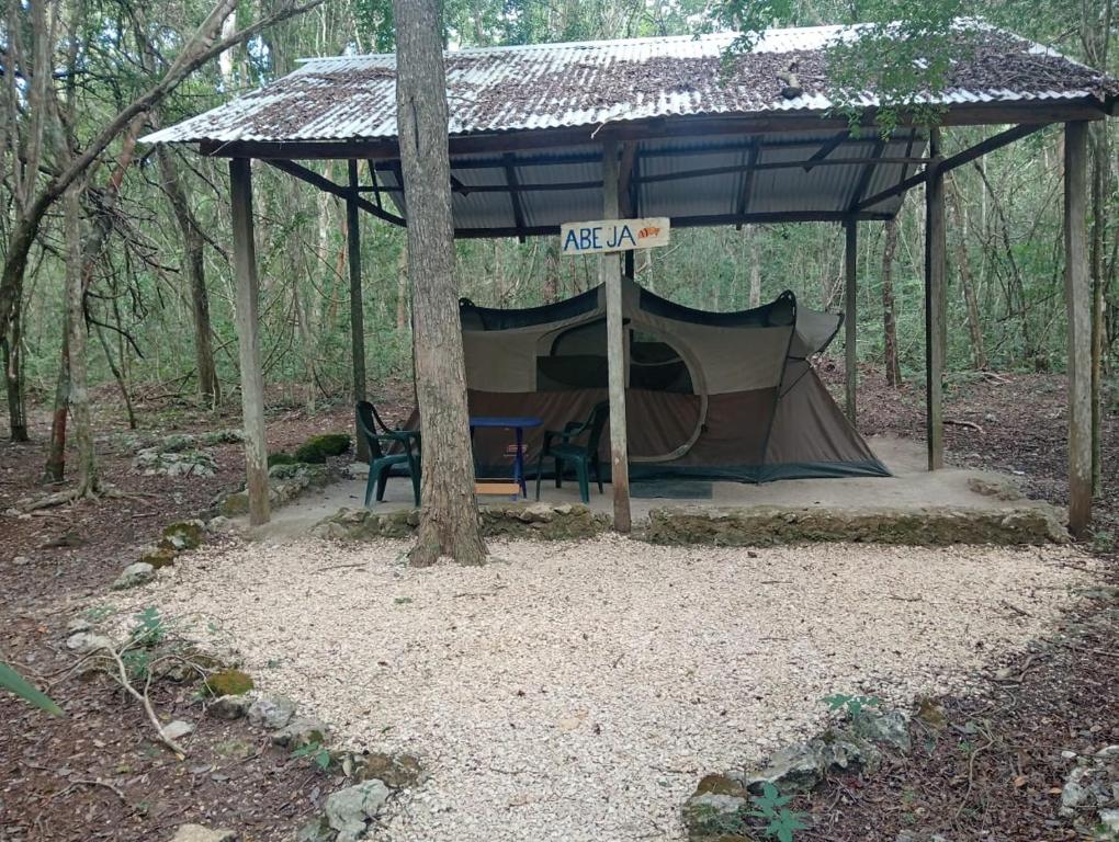 Zahrada ubytování Campamento Yaax Che en Calakmul