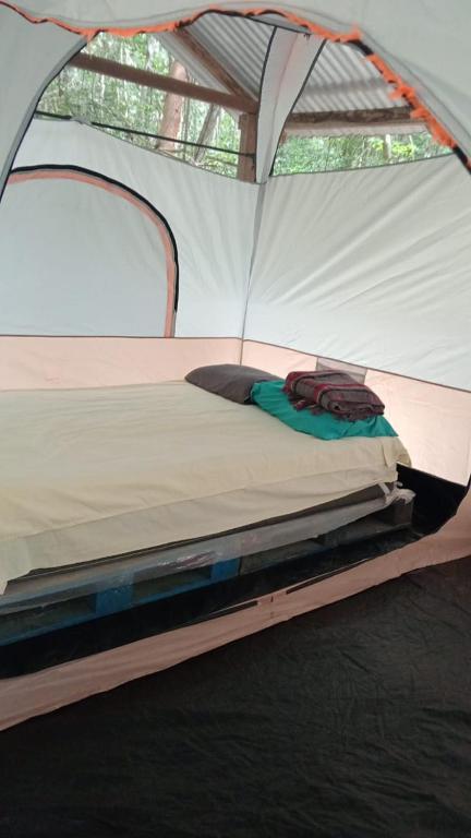 Postel nebo postele na pokoji v ubytování Campamento Yaax Che en Calakmul