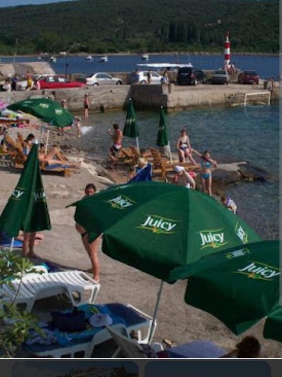 Příroda nedaleko apartmánu