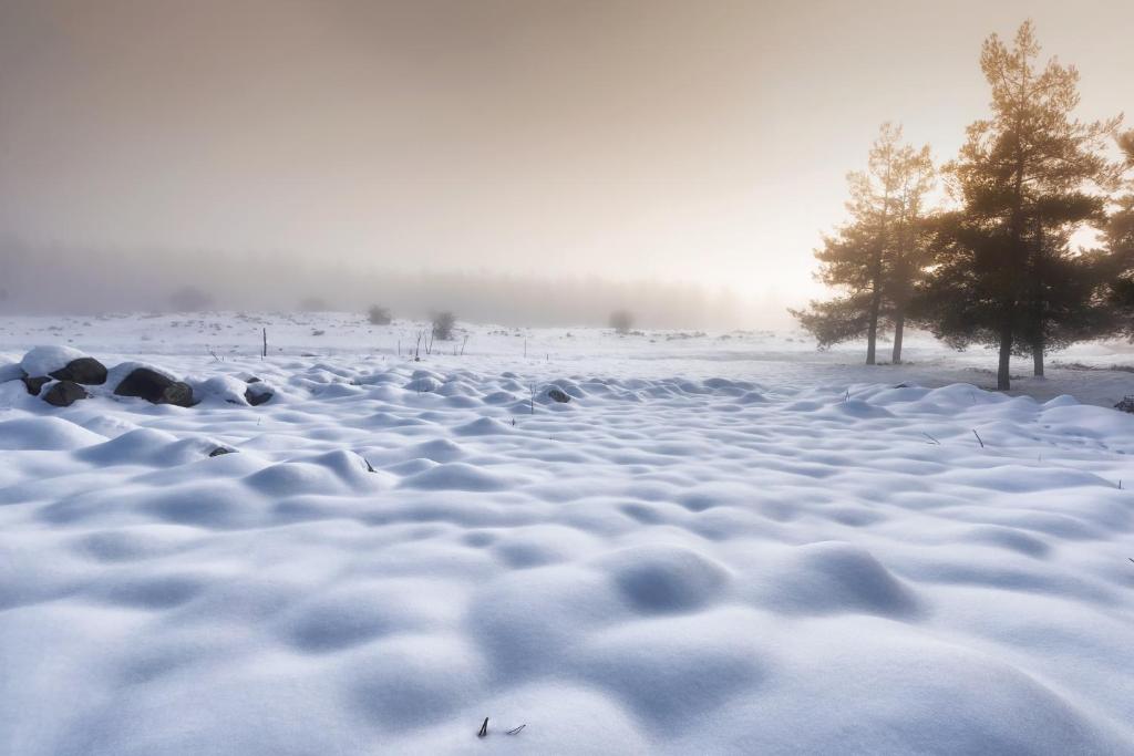 a snow covered field with trees in the background at Boutique El-Rom in El-Rom