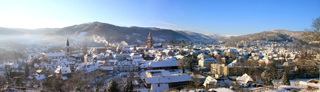 La Bourgogne en Alsace - charmant séjour familial – photo 19