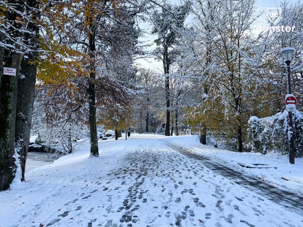 La Bourgogne en Alsace - charmant séjour familial – photo 22