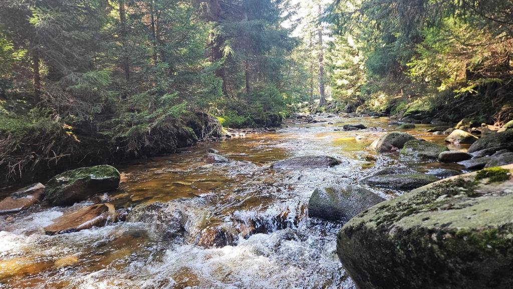 Príroda v okolí apartmánu