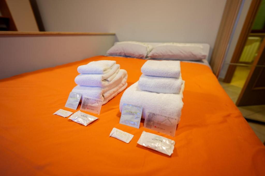 Postel nebo postele na pokoji v ubytování Turin Airport premium apartment F
