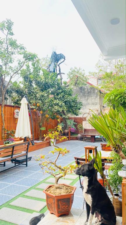 Ohayo Tam Coc Homestay - 9